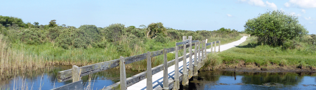 Steg über Priel vor Dünenlandschaft