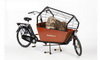 Lastenrad Hund