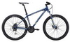 Mountainbike (L)