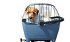 Korb (hinten) für kleine Hunde